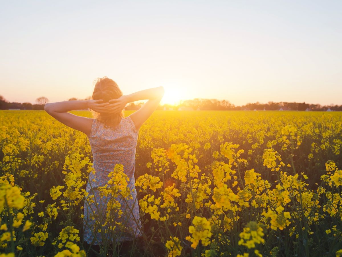 A person stands in a field of yellow flowers, facing the sunset with arms raised. The scene is serene and warmly lit by the sun.