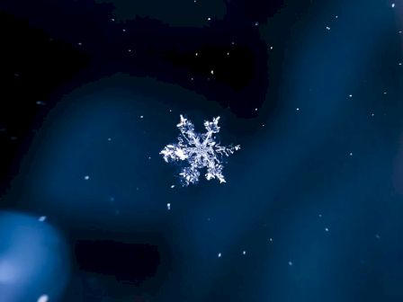 A delicate snowflake resting against a dark blue background, glistening with tiny crystalline arms, tiny white specks floating around it.