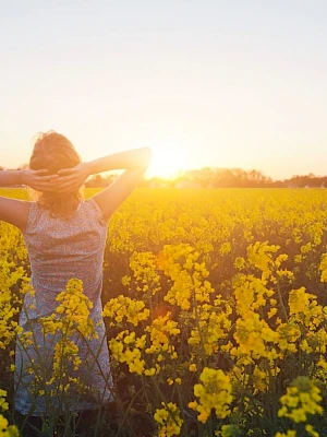 A person stands in a bright yellow canola field at sunset, hands behind their head, soaking in warm light.