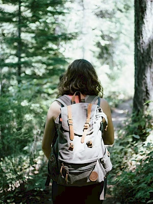 A person with a light backpack hikes through a dense forest, surrounded by tall trees and green undergrowth.