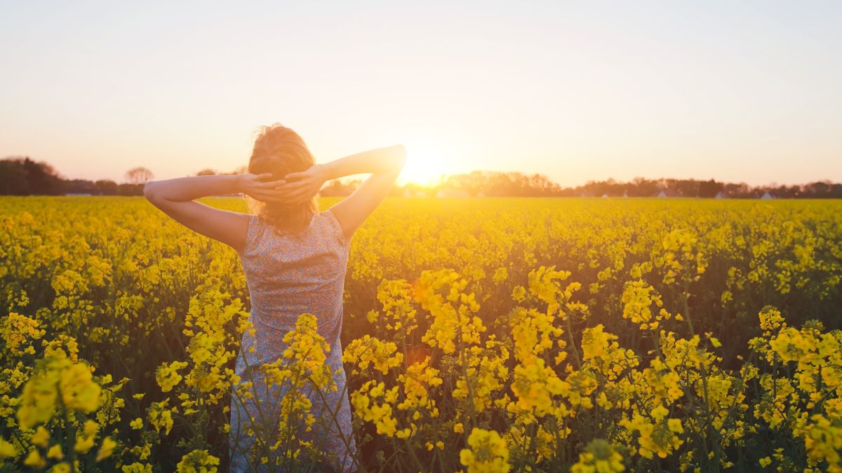 A person stands in a field of yellow flowers, arms raised, facing a sunset.