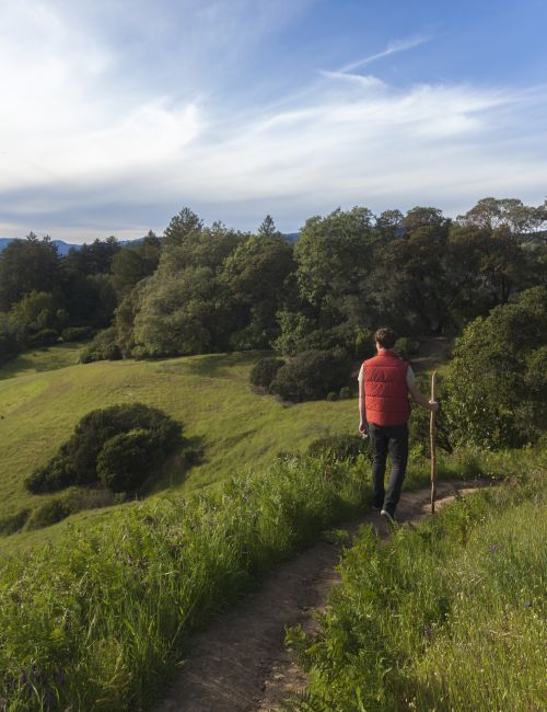 A person in a red vest walks on a trail through a lush, green landscape with hills and trees under a partly cloudy sky.
