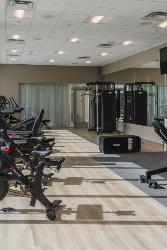 A modern gym with exercise bikes, weights, and a workout station, next to large windows and a bowl of green apples and towels.