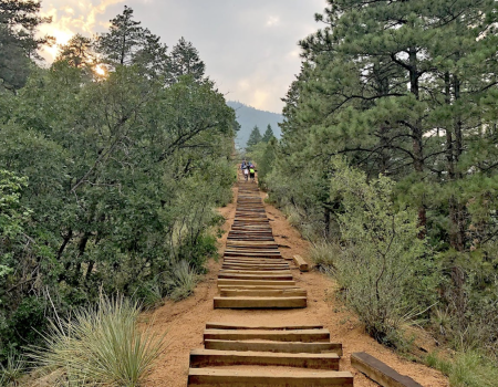 A wooden staircase ascends a forested hill under a cloudy sky, with lush greenery and a few people visible at the distance.