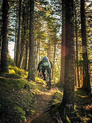 A person is mountain biking through a forest trail surrounded by tall trees and sun rays filtering through the branches.