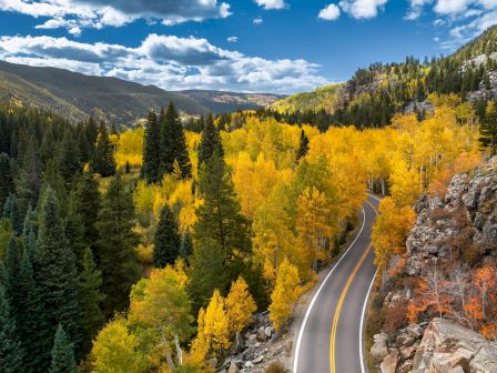 A winding road cuts through a scenic autumn landscape with vibrant yellow trees and evergreen forests under a bright blue sky with clouds.