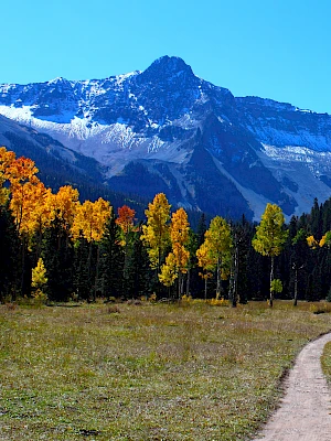 A dirt path leads through a meadow with yellow and green trees, towards snow-capped mountains under a clear blue sky.